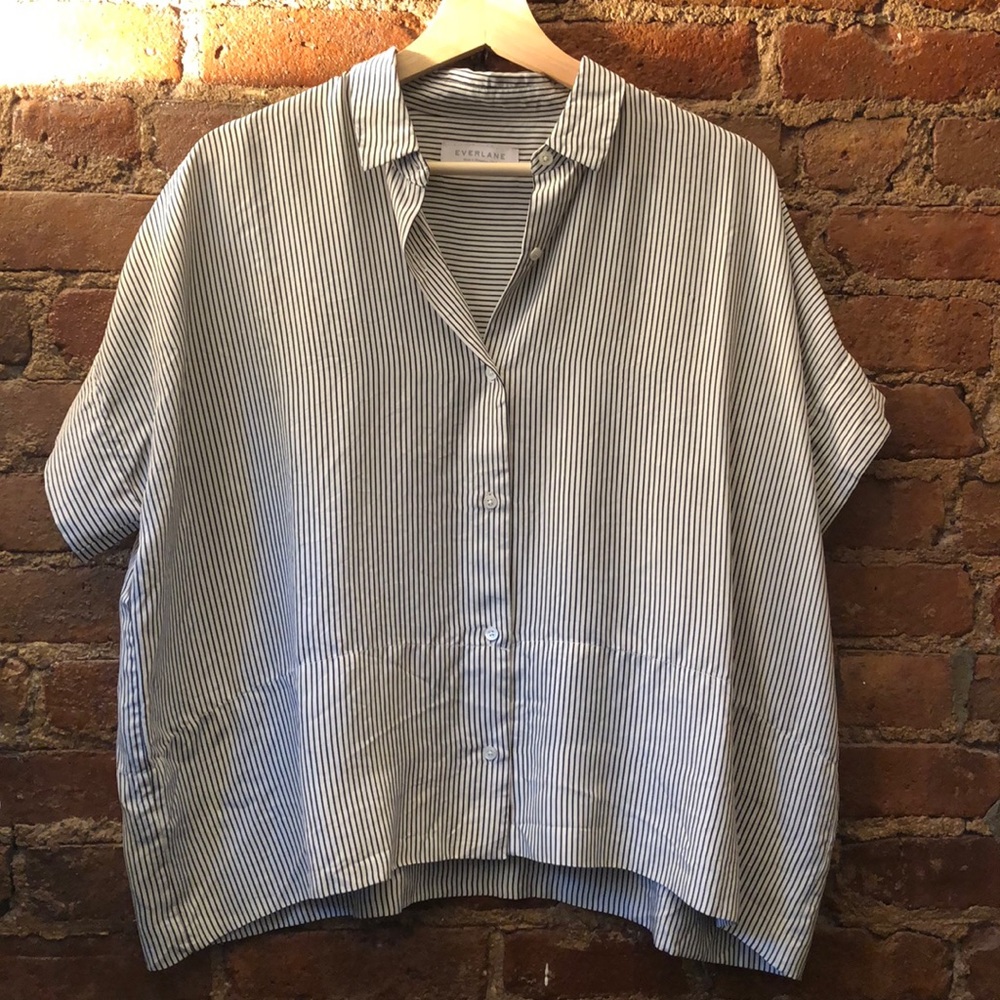 Everlane Silk Shirt
